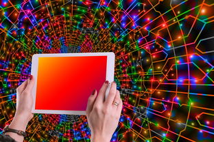 开云平台-体育新闻中心主办体育类数字创作者发展研讨会，体育产业数字化创新