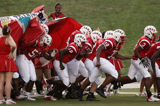 开云kaiyun-教练战术板数字化，赛前准备更具效率，的篮球教练战术板教程视频